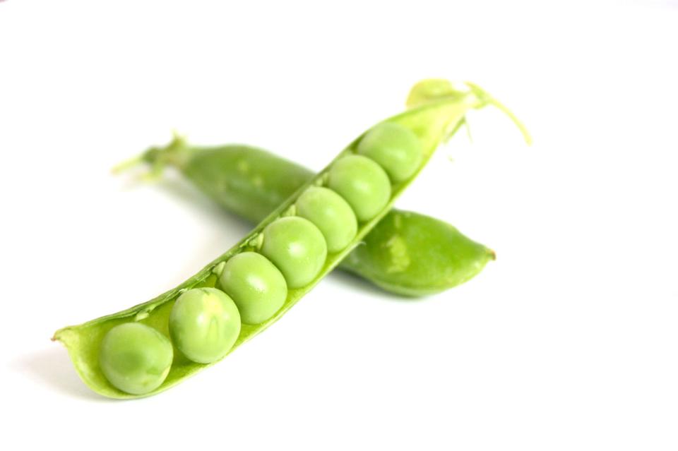 Peas-100913CB9104ECC4